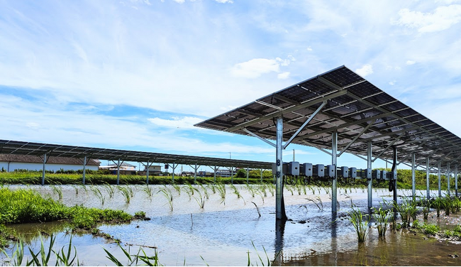 クラウド型ソーラー発電「ピーパ」が中部エリアに初進出