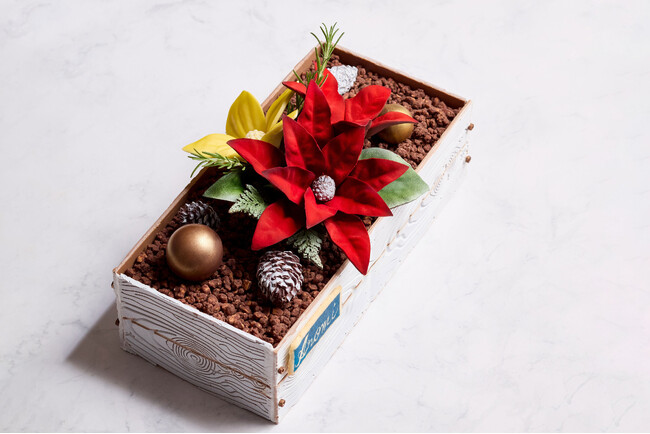 京王プラザホテルのクリスマスケーキ2024“Christmas Window”　窓際を彩るポインセチアの新作ケーキや、窓辺での読書を連想させる本型のケーキなど