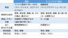 ４年に１度流行るオリンピック肺炎とは？