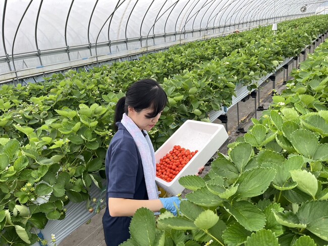 北海道日高振興局職員による副業活動について(令和6年度)