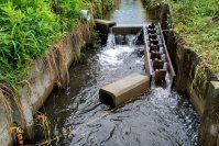 魚にとっても人にとっても理想的な河川環境づくりへ。地域・行政の協働が鍵を握る＜東洋大学SDGs NewsLetter Vol.30＞
