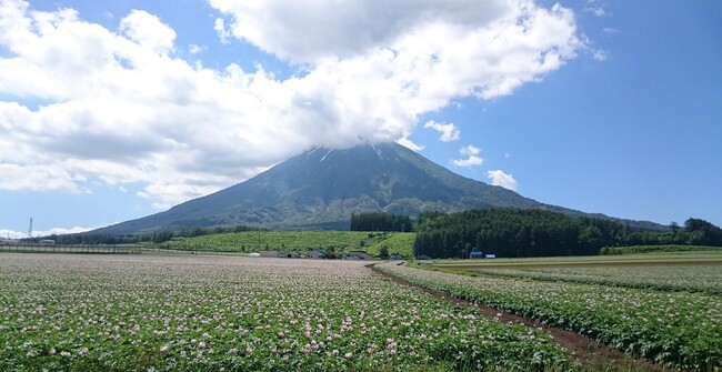【Spice and Vegetable 夢民】産地直送、北海道産じゃがいもと人参を使用したメニューの提供をスタート。