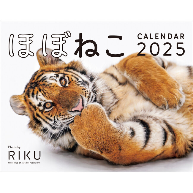 でっかいネコちゃんカレンダー？ ネコ科猛獣たちのネコみたいな写真集『ほぼねこ』がカレンダーになってAmazon4部門でベストセラー1位