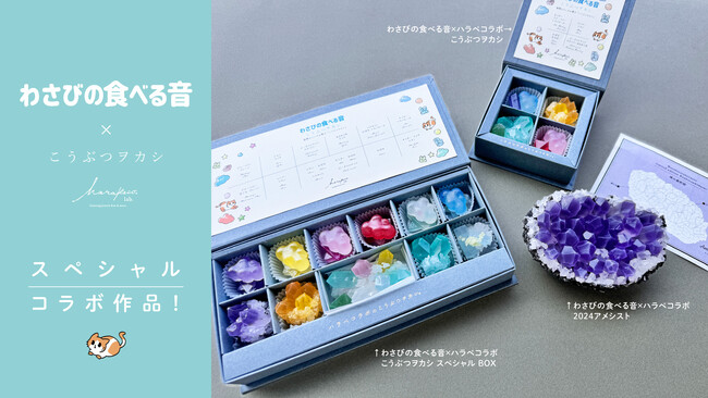 ［初コラボ］お菓子ASMR界の新鋭！わさびの食べる音×ハラペコラボ　こうぶつヲカシ新発売