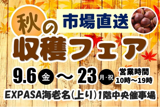 市場から旬の野菜・フルーツをお届け!