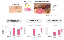 「ネイルを楽しむ」が、ときに皮膚トラブルにつながることも？　手湿疹にはステロイド外用剤による早めの対処が大切