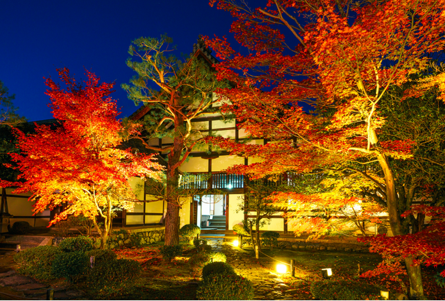 京都嵐山　紅葉　鹿王院夜の特別拝観２０２４