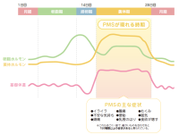 月経前の不調（PMS）へのトドマツ精油の香りによる緩和効果を確認