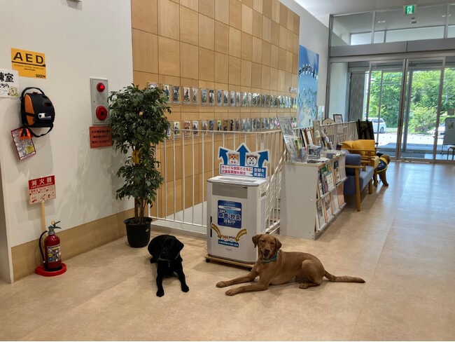 日本介助犬協会がシンシアの丘にパナソニックから寄贈されたジアイーノを設置