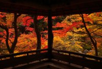 山梨の竜王ラドン温泉、9月限定30％OFFで宿泊できる「秋の昇仙峡旅しよう」キャンペーンを開催