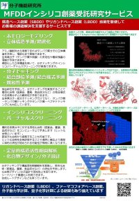 分子機能研究所がMFDDインシリコ創薬受託研究サービスで量子化学計算による生体高分子のシミュレーション・解析サービスを充実