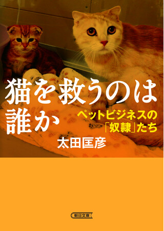 凄惨なペットビジネスの実態を暴く…足かけ17年取材を続ける、朝日新聞記者・太田匡彦さんの『猫を救うのは誰か　ペットビジネスの「奴隷」たち』（朝日文庫）9月6日発売