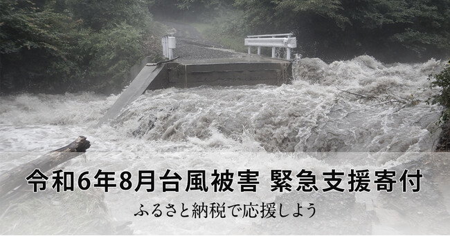 さとふる、「令和6年8月台風被害 緊急支援寄付サイト」で新たに岩手県盛岡市の寄付受け付けを開始