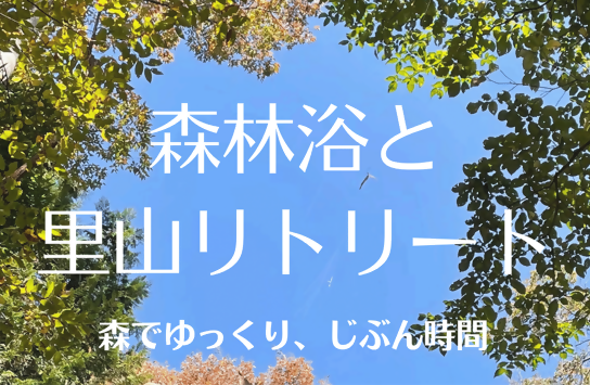 【相模原市】森でゆっくり、じぶん時間「森林浴と里山リトリート」参加者募集中!