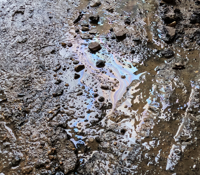 油で汚染された土壌専用の洗浄剤を開発