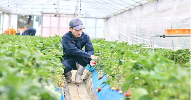 パーソルエクセルHRパートナーズ、日本最大・アジア最大級のRX Japan主催、農業WEEKにデータ駆動型農業支援システムを初出展