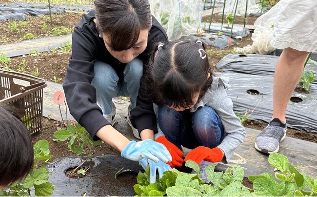 管理栄養士が監修する子ども向け短期「食育」プログラムの提供を貸し農園「シェア畑」が2024年10月から開始！先着20組までを対象に参加者を募集