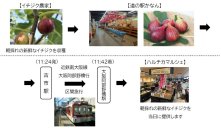 ～近鉄電車による貨客混載輸送で実現～河南町の新鮮な朝採れイチジクを、ハルチカマルシェで販売します！