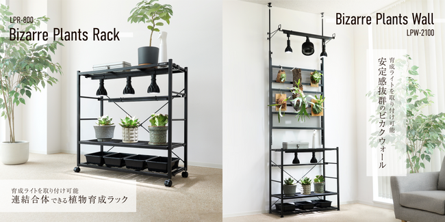 ビカクシダやアガベのための植物棚「ビザールプランツウォール」発売！DIY不要で育成ライト・サーキュレーターまで設置可能