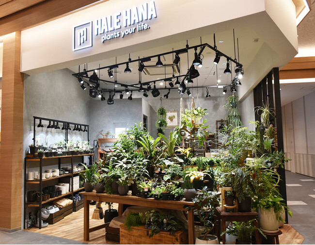 2024年9月24日（火）「エミテラス所沢」に直営2号店となるグリーン専門ショップ「HALE HANA（ハレハナ）」をオープン！（西武緑化管理株式会社）
