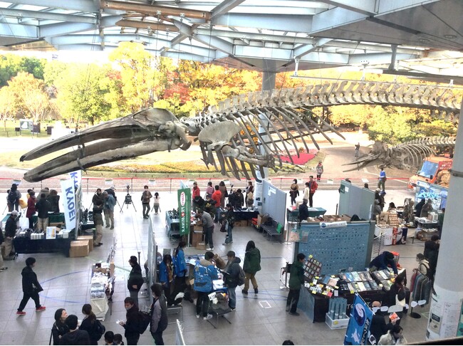 自然の文化祭「大阪自然史フェスティバル２０２４」を開催します～開催当日は、関西文化の日のため入場無料～