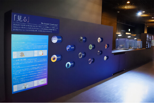 【マクセル アクアパーク品川】都市型水族館で学ぶ、【ＳＤＧｓ１４：海の豊かさを守ろう】生きものの“ディープ”な魅力をお伝えする新展示エリアが誕生。「Wonder Research（ワンダーリサーチ）」