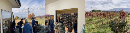 【11月3日(日)・4日(月・祝)】<日帰りまたは1泊2日>信州塩尻のワイナリー巡りと上高地、松本城ツアー参加者募集中！