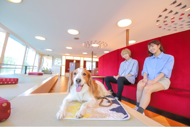 「箱根遊船 SORAKAZE」サンセットクルーズ 10/12(土)1日限定で運航