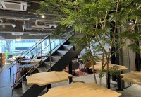 みらいコンサルティンググループは、2024年9月 東京都立川市と神奈川県横浜市に新支社を開設