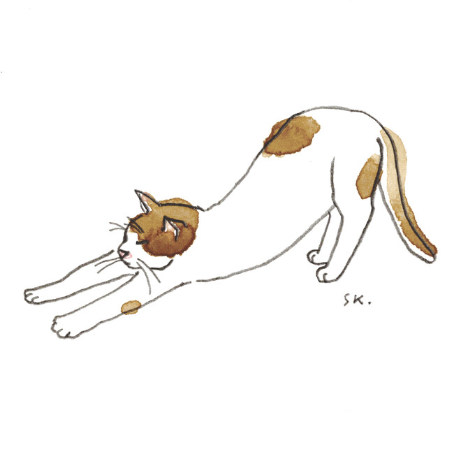 世田谷の猫本専門店で話題書『ねこの描き方れんしゅう帖』小泉さよさんの原画展が開催
