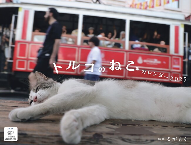 世界一猫にやさしいといわれる街イスタンブールに暮らす猫たちの日常『トルコのねこ』（イカロスカレンダー2025）発売