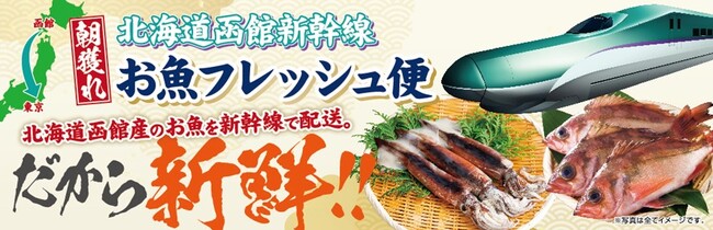 函館の朝獲れ鮮魚を新幹線配送！