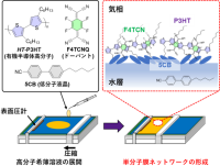 有機半導体高分子を用いたニューロモルフィックマテリアル：分子一層のネットワークで脳の機能を模倣