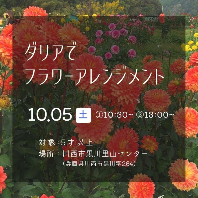 ダリアでフラワーアレンジメント<兵庫県川西市>