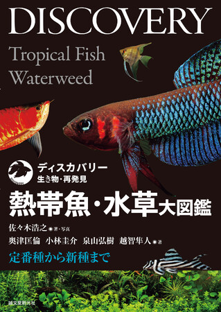 熱帯魚・水草1100種を紹介!美しい写真で魚種の特徴がよくわかる。