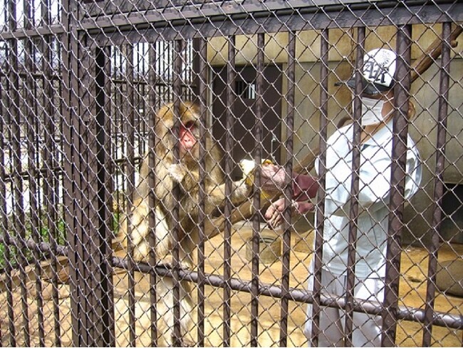 「ふるなび」で、山形県河北町が動物園のリニューアルを目的としたクラウドファンディングプロジェクトへの寄附受付を開始。