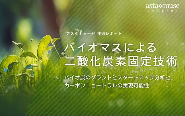 バイオマスによる二酸化炭素固定技術：バイオ炭のグラントとスタートアップ分析とカーボンニュートラルの実現可能性