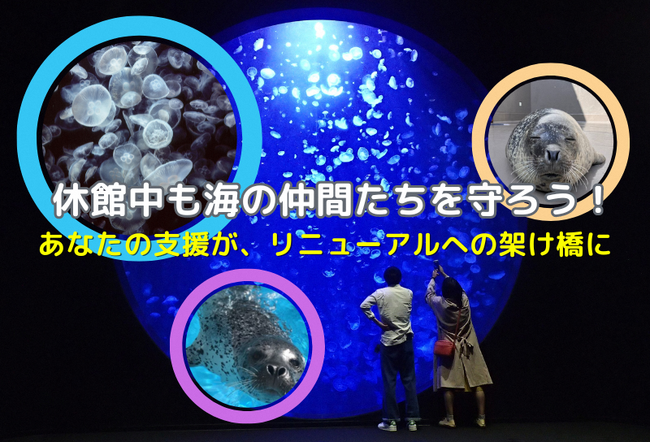 山形県鶴岡市とふるさとチョイスふるさと納税制度を活用したガバメントクラウドファンディング(R)で、鶴岡市立加茂水族館のリニューアルに伴う休館期間中の飼育環境整備を目的としたプロジェクトを開始