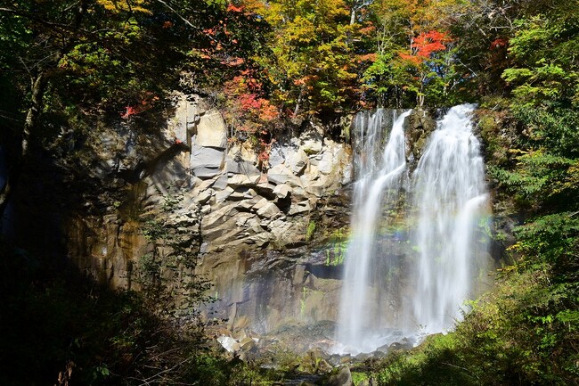 【10月朝限定！】