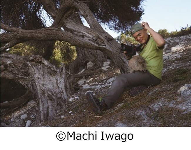 WWFジャパン公式オンラインショップ【PANDA SHOP】「キヤノン/WWF 岩合光昭カレンダー2025 Kawaii ～オーストラリアの動物たち～」を本日より発売開始