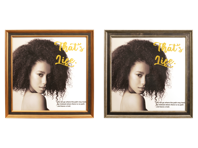 お気に入りのLPレコードジャケットを飾って「見える」収納ケンコー「LPレコードジャケット用フレーム」