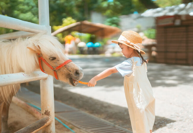 大阪南港ATCに馬が来る！サラブレッド、ポニー、ミニチュアホースまで。体験乗馬やポニーショーを楽しめる『第4回 OSAKA ホースフェア』