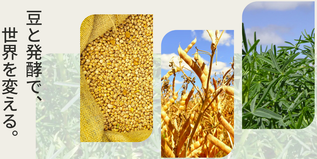 豆類の独自発酵技術で新たな植物性発酵食品「醸豆（JYOZ/ジョウズ）」を展開する食品スタートアップ企業のハッコウホールディングスが資金調達を実施