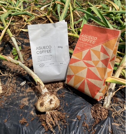 地球にやさしい製品「asue」の生分解性コーヒー豆パッケージ「asueco（あすえこ）」を堆肥化に合わせて分解、にんにく圃場での利用を開始