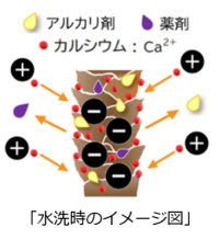 髪の「パサつき」「うねり」の原因は水道水のカルシウムだった！ヘアカラーによるダメージの修復に新発想の新製品