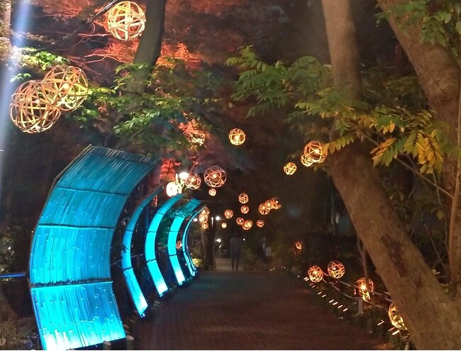 別府の伝統工芸とハロウィンがコラボ！期間限定イルミネーション「別府竹細工×ハロウィンナイト」開催