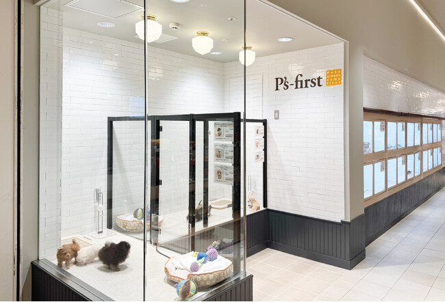 P’s-first豊洲店 オープンのお知らせ