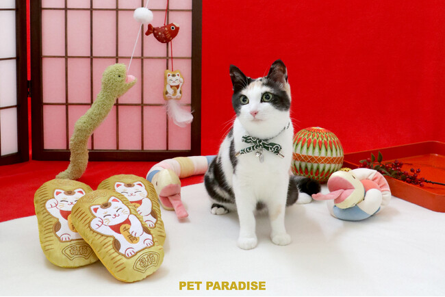 日本の伝統文化と猫の愛らしさが融合！和テイストの猫用グッズシリーズ『にゃぱにーず』を本格展開