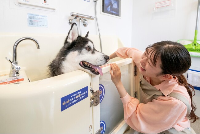 近鉄不動産株式会社が展開するセルフ式ドッグスパ「K・DogSpa（ケイ・ドッグスパ）」事業への参画について