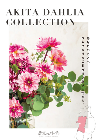 秋田市産ダリア×日比谷花壇タイアップキャンペーンフェア「ＡＫＩＴＡ　ＤＡＨＬＩＡ　ＣＯＬＬＥＣＴＩＯＮ」を2024年も開催いたします！